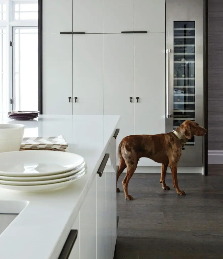 Kitchens 47 RMH_Contemporary_Kitchen_E