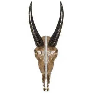 Goat Skull Pull - 5 1/16" x 15"