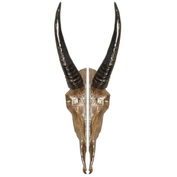 goat head