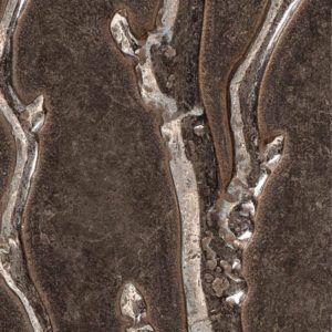 Branch Texture (BBR)