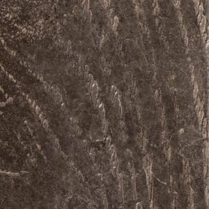 Wood Texture (BWD)